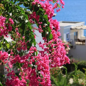 aktur-residence-bitez.aegeanhotels.net/